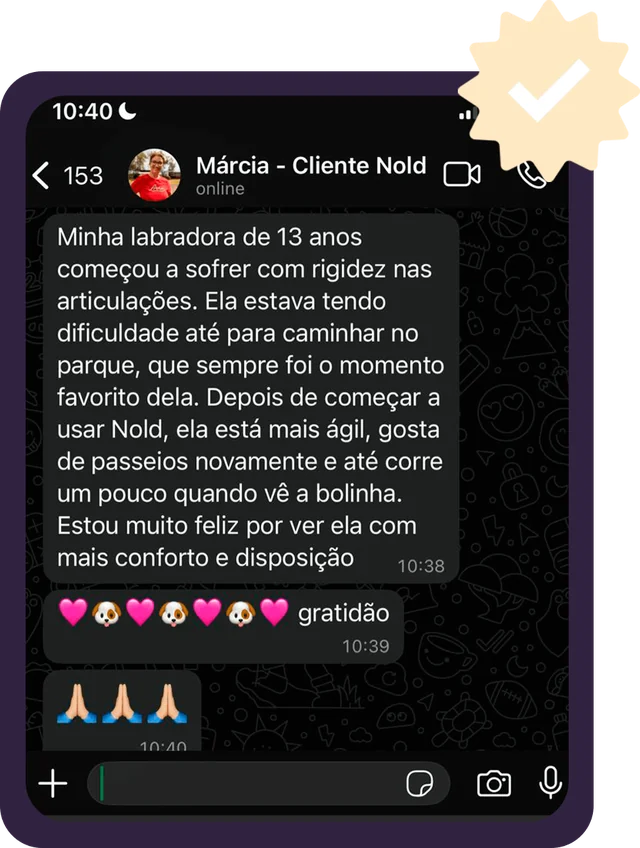 Print do WhatsApp: Márcia conta que a labradora de 13 anos com rigidez nas articulações voltou a gostar dos passeios