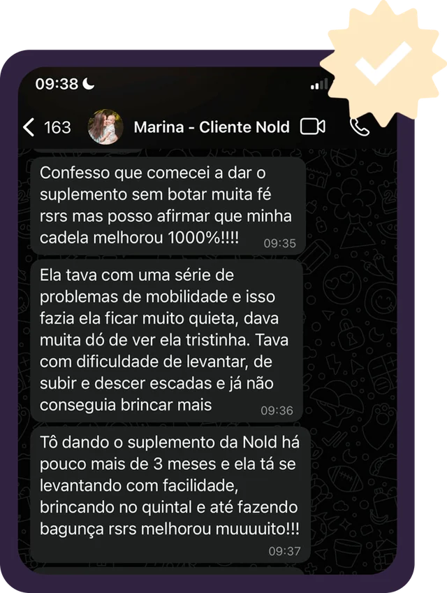 Print do WhatsApp: Marina conta que começou sem muita fé e a cadela, com pouco mais de 3 meses de Nold, se levanta com facilidade e brinca no quintal