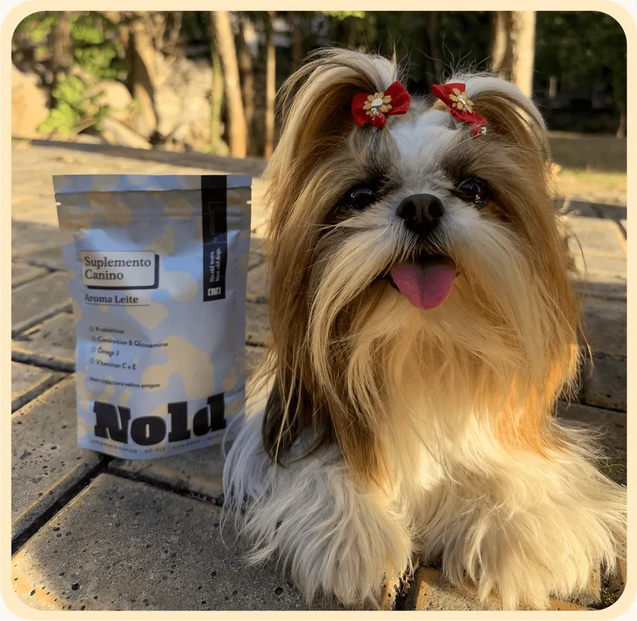 Shih-tzu de laço vermelho ao lado do pacote de Nold
